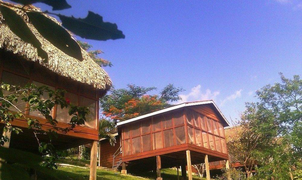 Cahal Pech Village Resort Сан-Ігнасіо Зручності фото